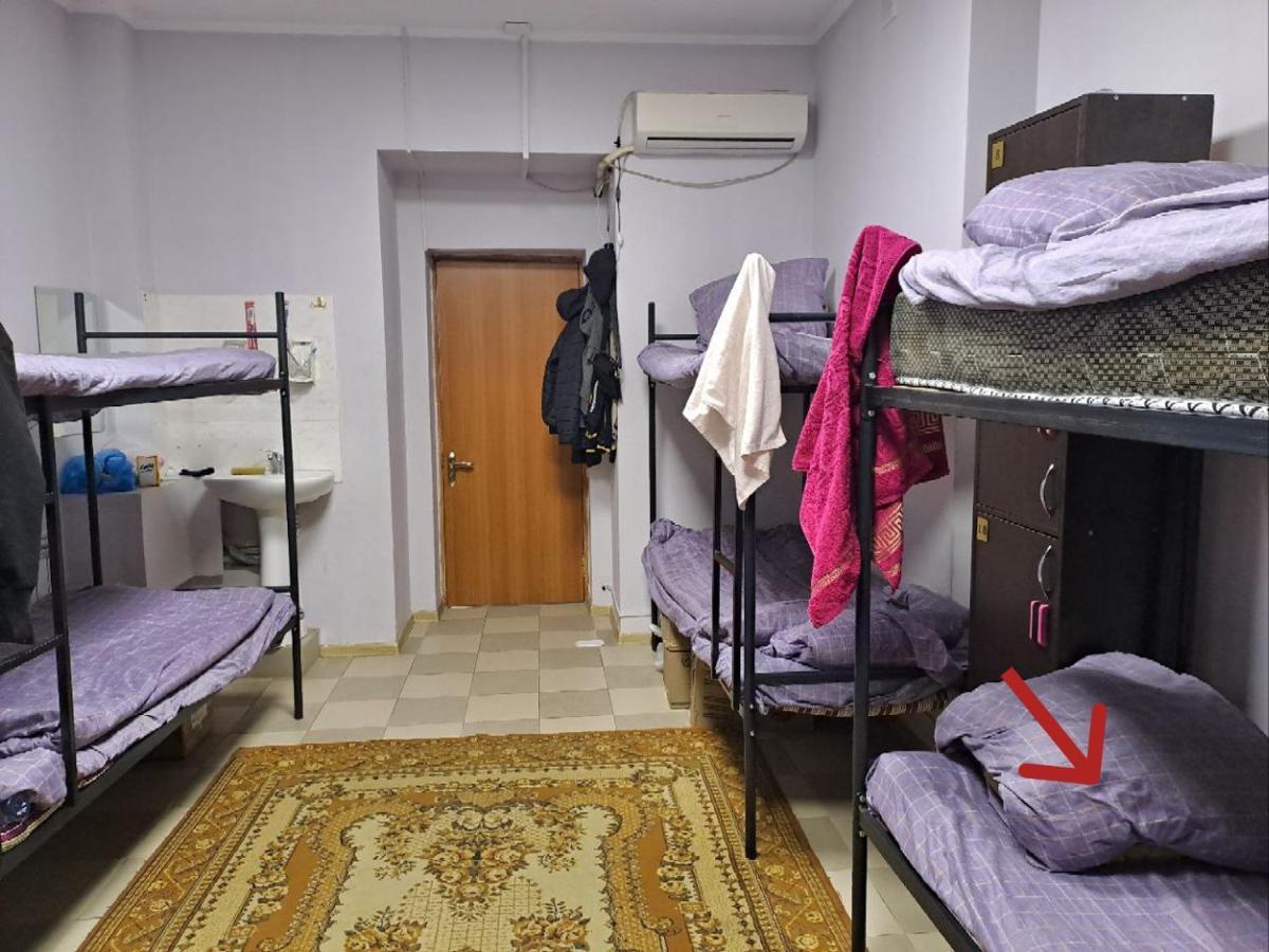 الماتي Fox Park Hostel المظهر الخارجي الصورة