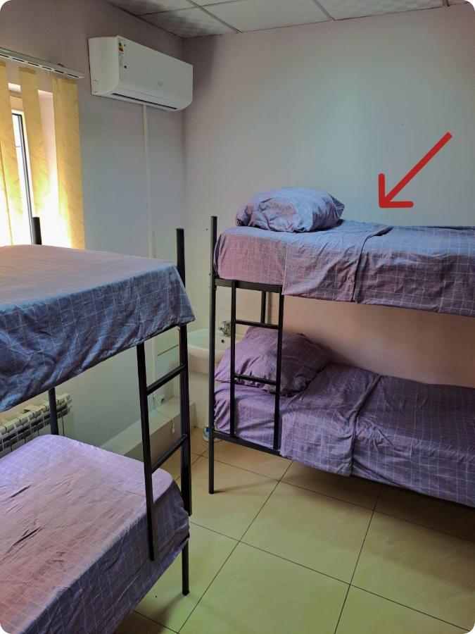 الماتي Fox Park Hostel المظهر الخارجي الصورة