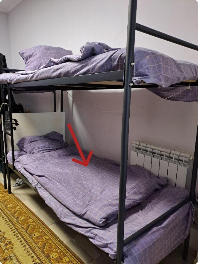 الماتي Fox Park Hostel المظهر الخارجي الصورة