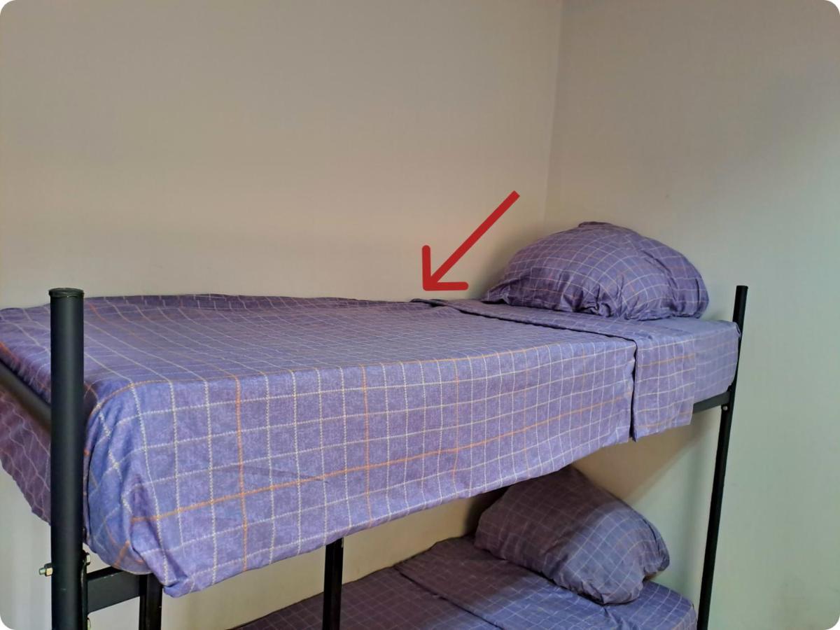 الماتي Fox Park Hostel المظهر الخارجي الصورة