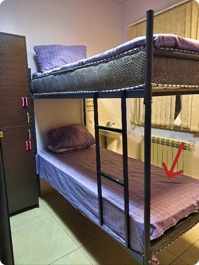 الماتي Fox Park Hostel المظهر الخارجي الصورة