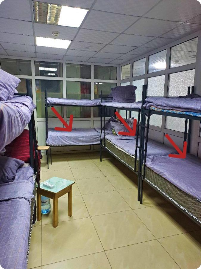 الماتي Fox Park Hostel المظهر الخارجي الصورة